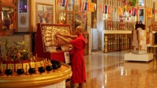 cac phat tu va kito huu duoc moi goi cung chua lanh vet thuong cua nhan loai