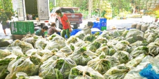 chua ba vang ung ho nguoi dan co hoan canh kho khan tinh dong nai