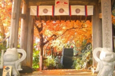 chua nyoirin ji  noi co nhieu tuong ech nhat nhat ban