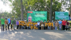chua phap tang tien hanh tong ve sinh moi truong va trong cay chao mung  tet trong cay doi doi nho on bac 