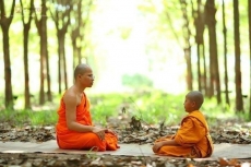 hoi tho cua ban dang gia bao nhieu