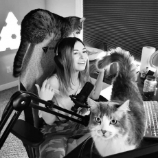 nu streamer mat su nghiep vi co hanh vi nguoc dai dong vat ngay tren song stream