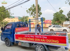 phat tu chua ba vang chung tay giai cuu nong san hai duong trong mua dich