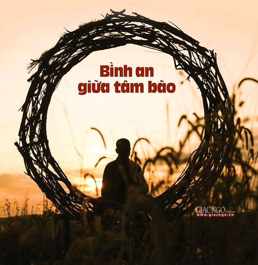 binh an giua tam bao