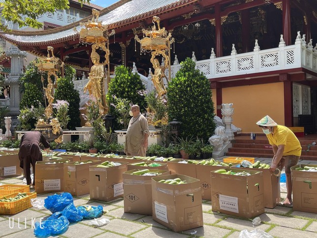 dao trang chua vien giac  quan tan binh  tiep tuc cung duong rau qua den 50 tu vien