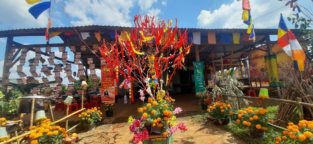 dao trang phuoc bao mung xuan di lac nam nham dan
