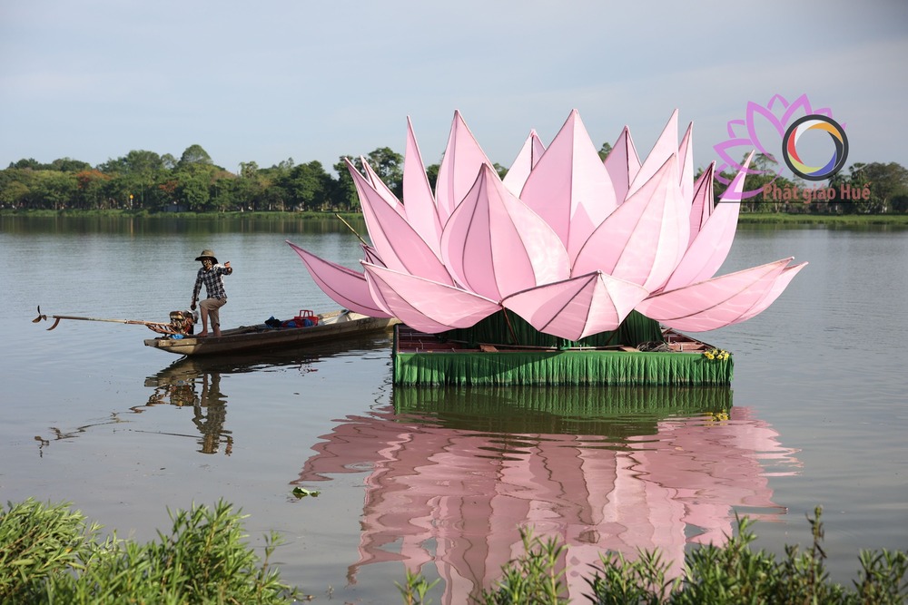 ha thuy 7 hoa sen mung phat dan tren song huong