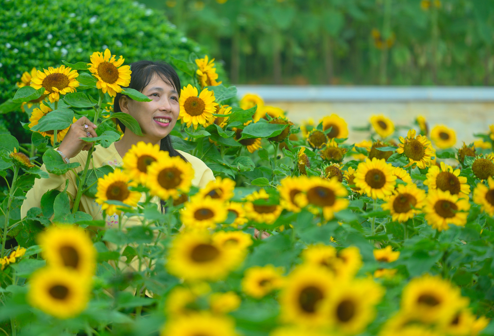 hang chuc ngan nguoi do ve nui ba den dip hoi trang ram trung thu vua qua