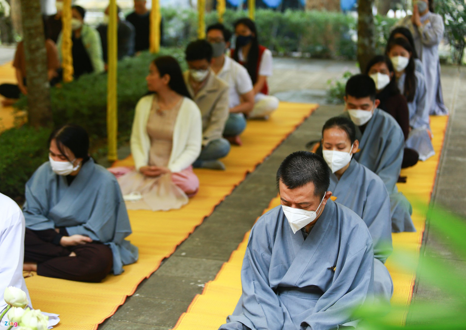 hang tram nguoi den vieng thien su thich nhat hanh