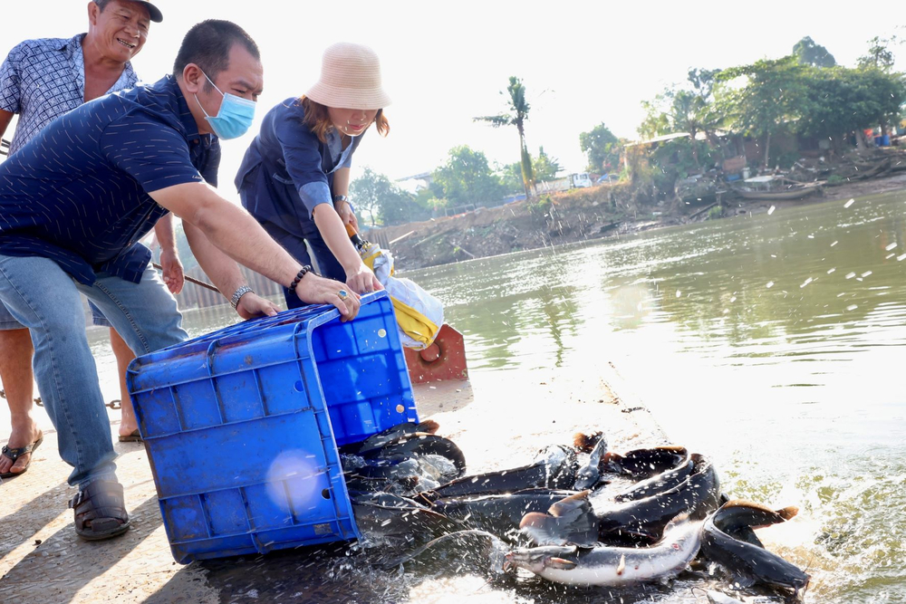 hon 500 phat tu quy y tam bao nhan dip ram thuong nguyen ?tai chua thien quang