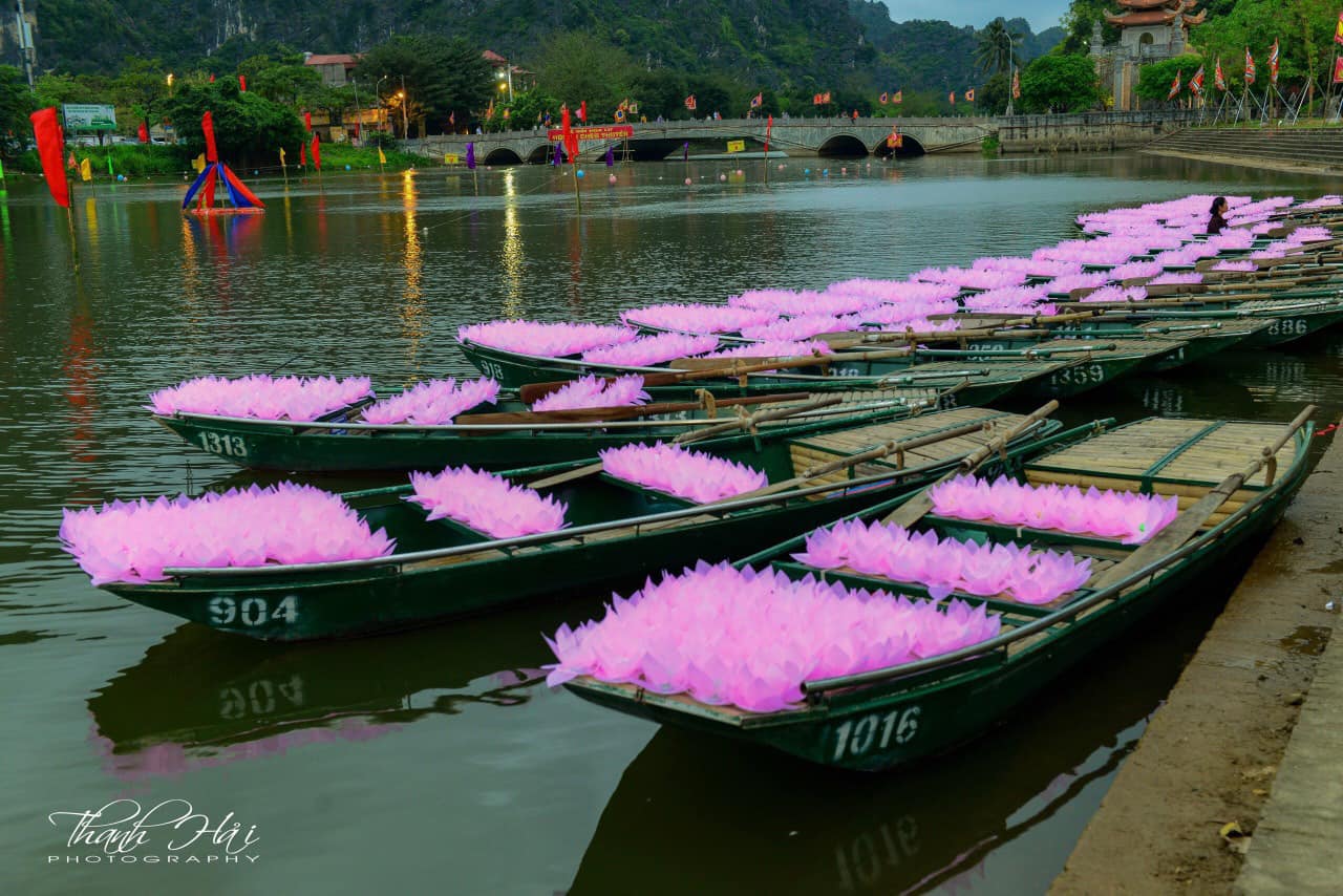 le cau quoc thai dan an va dem hoi hoa dang o co do hoa lu