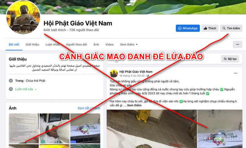 mao danh dao phat lua dao khap noi tren internet