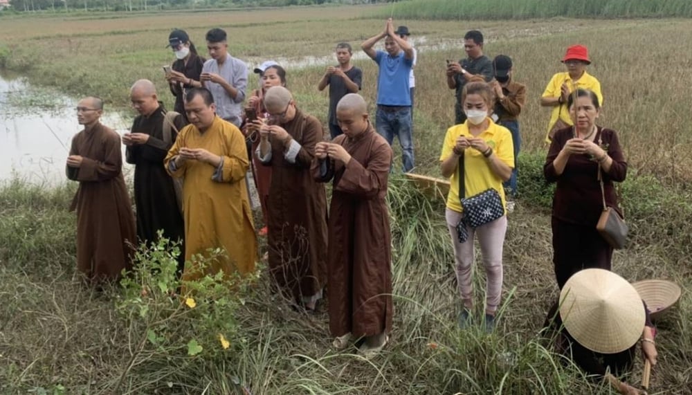 nghe an  phuc hoi chua sao va chua but moc