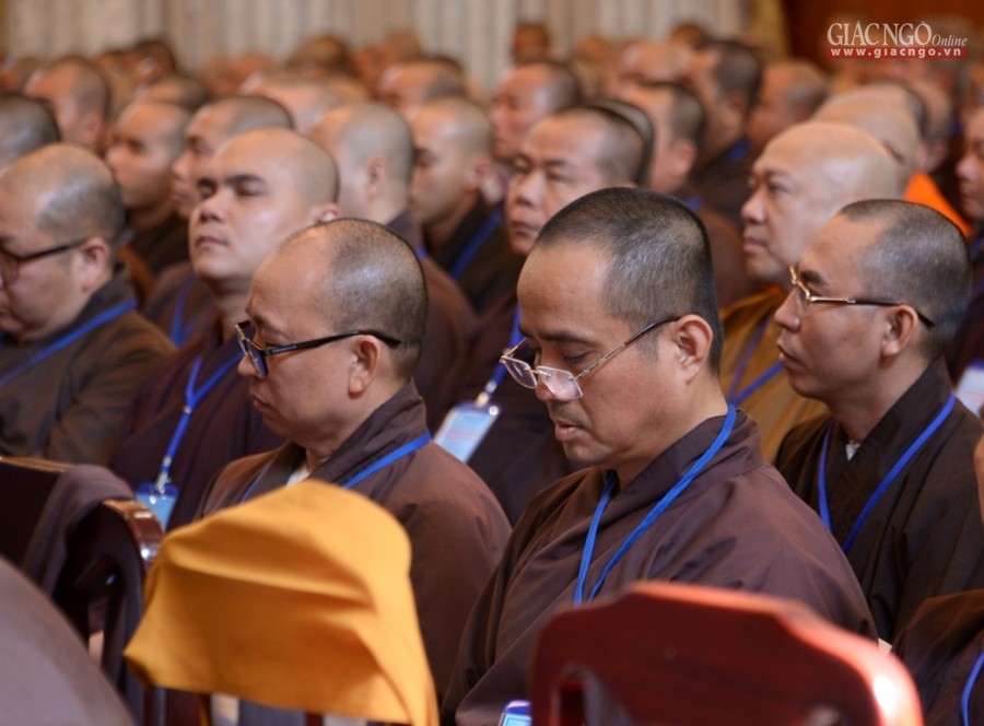 nghe va thao luan ve hanh chanh giao hoi