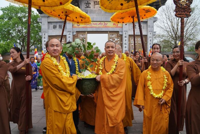 nhanh cay bo de 2 300 tuoi tu sri lanka duoc ruoc ve trong tai chua bai dinh