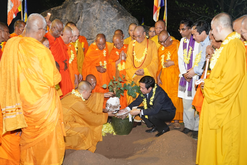 nhanh cay bo de 2 300 tuoi tu sri lanka duoc ruoc ve trong tai chua bai dinh