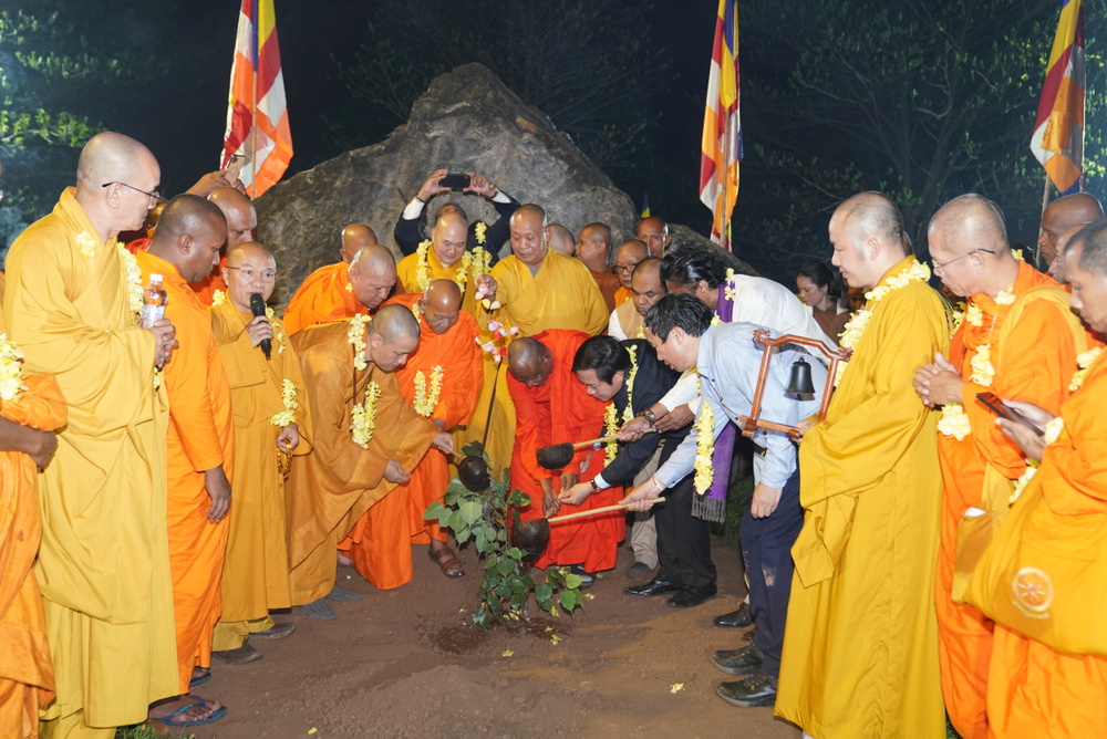 nhanh cay bo de 2 300 tuoi tu sri lanka duoc ruoc ve trong tai chua bai dinh