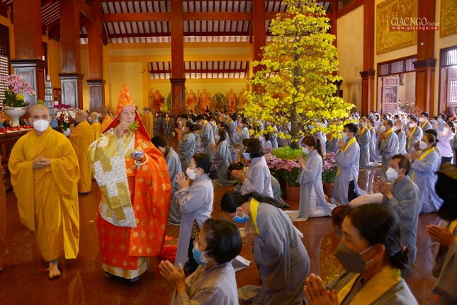 phap hoi duoc su cau an dau xuan nham dan 2022