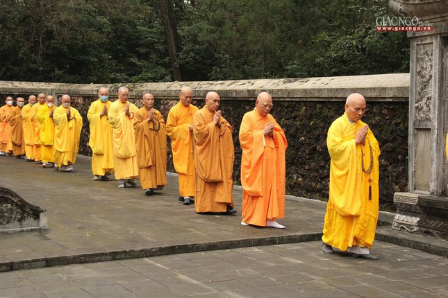 tao thap to su lieu quan tai co do hue