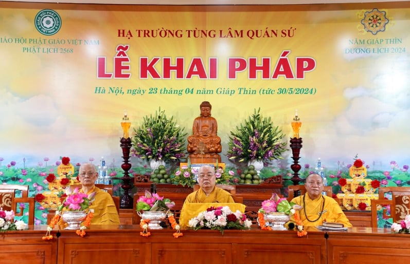 truong ha tung lam quan su khai phap khoa an cu kiet ha pl 2568