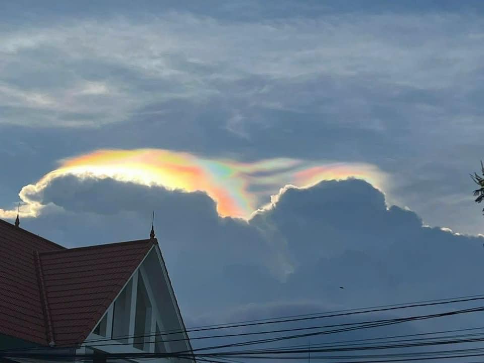 xuat hien hien tuong  ??ky la ?? trong dam tang ca nuong nho tuoi nhat viet nam qua doi vi tai nan giao thong